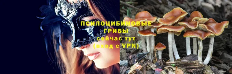 Галлюциногенные грибы Magic Shrooms  купить наркотики цена  Протвино 